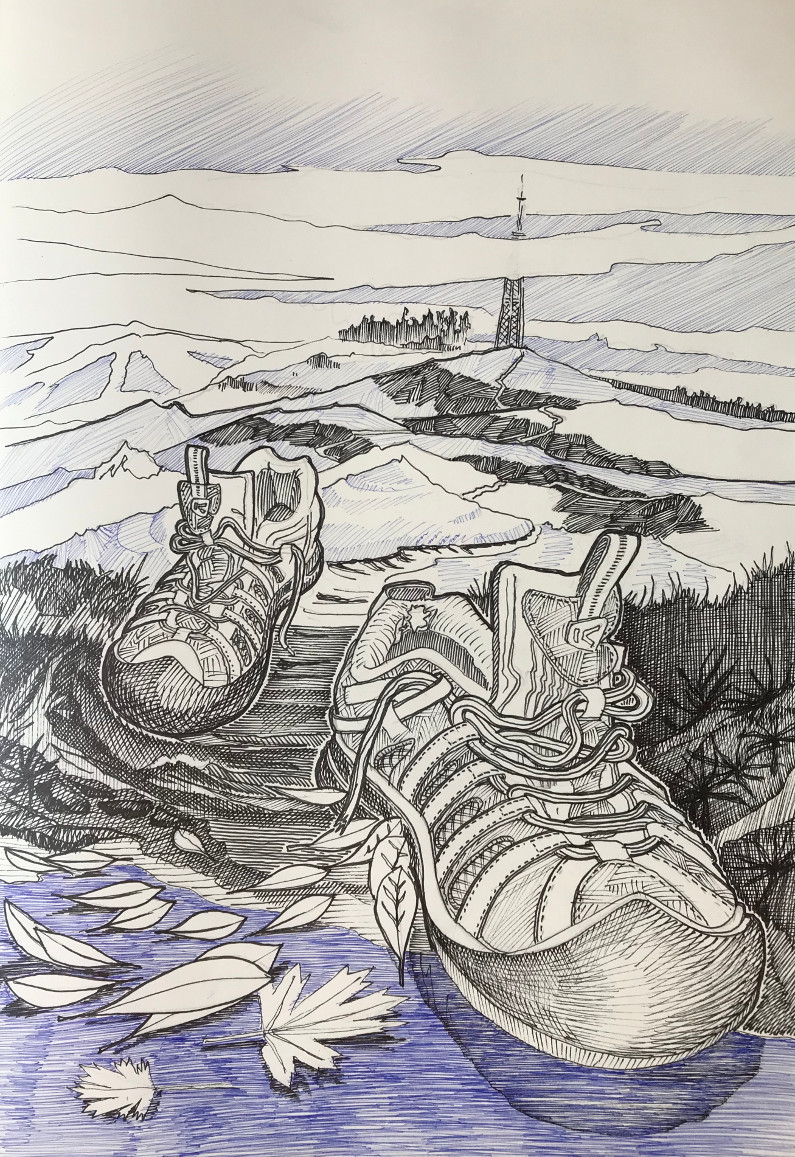 Tim Costeloe Walking Shoes